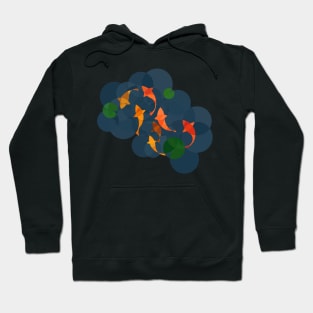 Koi pond from circles Hoodie